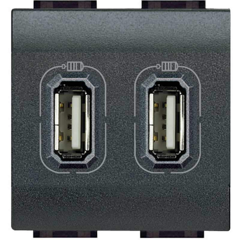 Зарядное устройство USB Bticino на 2 модуля, USB-A x 2, 3A (Антрацит) Зарядное устройство USB Bticino на 2 модуля, USB-A x 2, 3A (Антрацит)