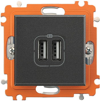Разъем USB Axolute для зарядки, 2 модуля (антрацит) Разъем USB Axolute для зарядки, 2 модуля (антрацит)